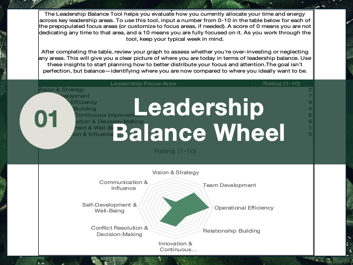 Leadership Balance Wheel Template